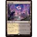 (FOIL)神無き祭殿/Godless Shrine《日本語》【EOE】