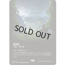 画像1: [EX+](フルアート)繁殖池/Breeding Pool《日本語》【EOE】