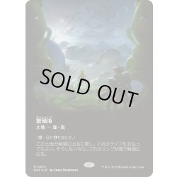 画像1: [EX+](ギャラクシーFOIL)繁殖池/Breeding Pool《日本語》【EOE】