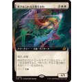 (FOIL)(フルアート)喜びあふれる太陽生まれ/Exalted Sunborn《日本語》【EOE】