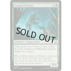 画像1: (FOIL)菌類の巨獣/Fungal Colossus《英語》【EOE】
