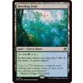 (FOIL)繁殖池/Breeding Pool《英語》【EOE】