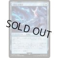 「賢者」の賢具/Sage's Nouliths《日本語》【FIN】