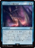 (FOIL)リバイアサンの腹のなか/Swallowed by Leviathan《日本語》【FIN】