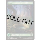 [EX+](FOIL)(フルアート)(0306)森/Forest《英語》【FIN】