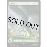 [EX+](FOIL)(フルアート)(0307)森/Forest《英語》【FIN】