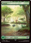 (FOIL)(フルアート)(0308)森/Forest《英語》【FIN】