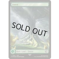 [EX+](サージFOIL)森/Forest《英語》【FIN】
