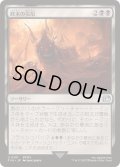 [EX+]終末の災厄/The Final Days《日本語》【FIN】