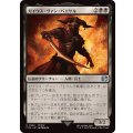 ガイウス・ヴァン・バエサル/Gaius van Baelsar《日本語》【FIN】
