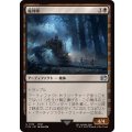 魔列車/Phantom Train《日本語》【FIN】