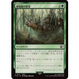 (FOIL)劇場艇の墜落/Airship Crash《日本語》【FIN】
