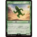 サボテンダー/Cactuar《日本語》【FIN】