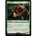 (FOIL)ギガントード/Gigantoad《日本語》【FIN】