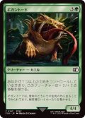 (FOIL)ギガントード/Gigantoad《日本語》【FIN】