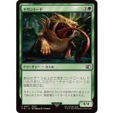 (FOIL)ギガントード/Gigantoad《日本語》【FIN】