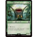 (FOIL)パシュハウ沼のグゥーブー/Goobbue Gardener《日本語》【FIN】