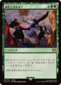 新生エオルゼア/A Realm Reborn《日本語》【FIN】