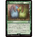 サブクエスト：チョコボ育成/Sidequest: Raise a Chocobo《日本語》【FIN】