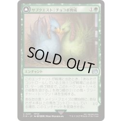 画像1: [EX+]サブクエスト：チョコボ育成/Sidequest: Raise a Chocobo《日本語》【FIN】