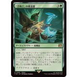 (FOIL)「召喚士」の魔道書/Summoner's Grimoire《日本語》【FIN】