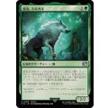 盟友、トルガル/Torgal, A Fine Hound《日本語》【FIN】