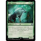 (FOIL)盟友、トルガル/Torgal, A Fine Hound《日本語》【FIN】