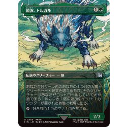 画像1: (FOIL)(フルアート)(0345)盟友、トルガル/Torgal, A Fine Hound《日本語》【FIN】