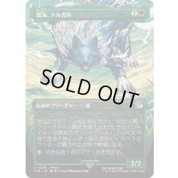 画像1: [EX+](フルアート)(0345)盟友、トルガル/Torgal, A Fine Hound《日本語》【FIN】