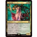 古代の災厄、ジェノバ/Jenova, Ancient Calamity《日本語》【FIN】