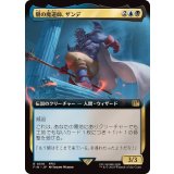 (フルアート)闇の魔道師、ザンデ/Xande, Dark Mage《日本語》【FIN】