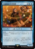 大魔導師の名誉教授/Archmage Emeritus《日本語》【FIC】