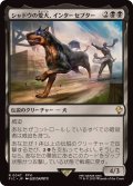 (サージFOIL)シャドウの愛犬、インターセプター/Interceptor, Shadow's Hound《日本語》【FIC】