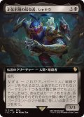 (フルアート)正体不明の暗殺者、シャドウ/Shadow, Mysterious Assassin《日本語》【FIC】