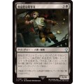 (サージFOIL)無慈悲な略奪者/Pitiless Plunderer《日本語》【FIC】