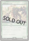 (サージFOIL)薄暮殻の這うもの/Duskshell Crawler《日本語》【FIC】