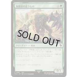 画像1: 薄暮殻の這うもの/Duskshell Crawler《日本語》【FIC】