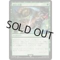 硬化した鱗/Hardened Scales《日本語》【FIC】
