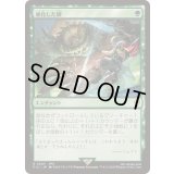 硬化した鱗/Hardened Scales《日本語》【FIC】