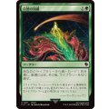 自然の知識/Nature's Lore《日本語》【FIC】