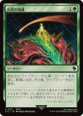 自然の知識/Nature's Lore《日本語》【FIC】