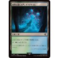 (FOIL)異界に通じる門、グアドサラム/Guadosalam, Farplane Gateway《日本語》【FIN】