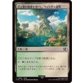 (FOIL)月と星の加護を受けし、ウィンダス連邦/Windurst, Federation Center《日本語》【FIN】