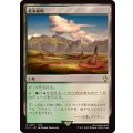 低木林地/Brushland《日本語》【FIC】
