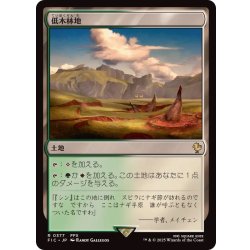 画像1: 低木林地/Brushland《日本語》【FIC】