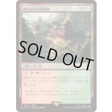燃えがらの林間地/Cinder Glade《日本語》【FIC】