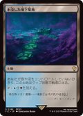 水没した地下墓地/Drowned Catacomb《日本語》【FIC】
