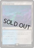 (サージFOIL)水没した地下墓地/Drowned Catacomb《日本語》【FIC】