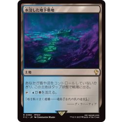 画像1: 水没した地下墓地/Drowned Catacomb《日本語》【FIC】