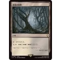 (サージFOIL)悪臭の荒野/Fetid Heath《日本語》【FIC】